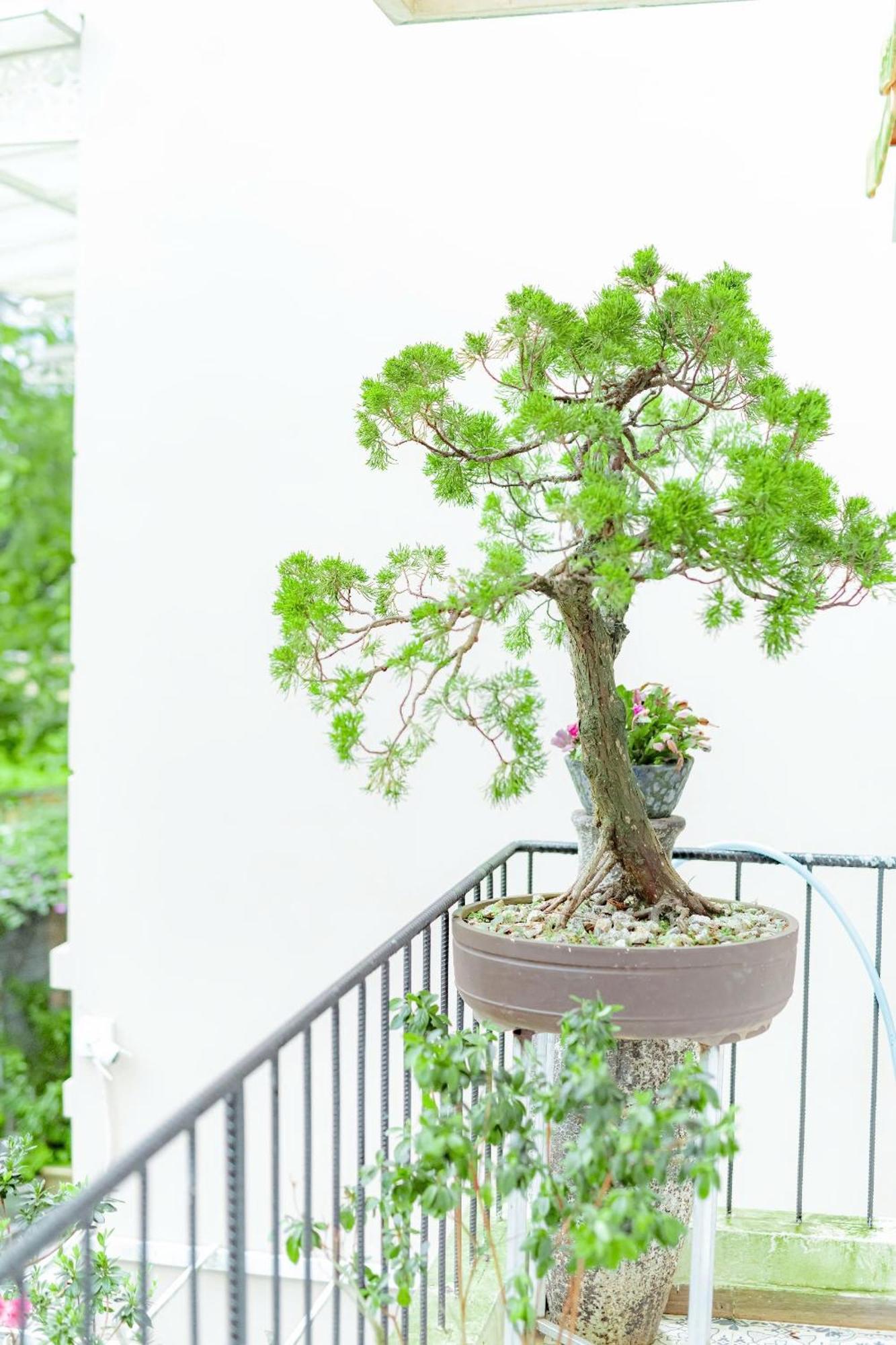 Villa Nho Xinh Khu Chi Lăng 외부 사진