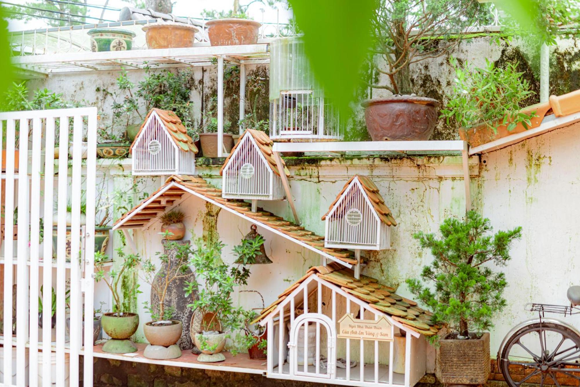 Villa Nho Xinh Khu Chi Lăng 외부 사진